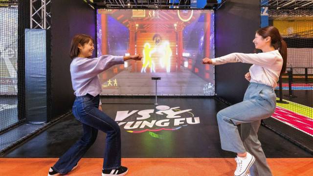 VS KUNG FU