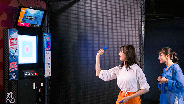 Ninja Trainer Arcade